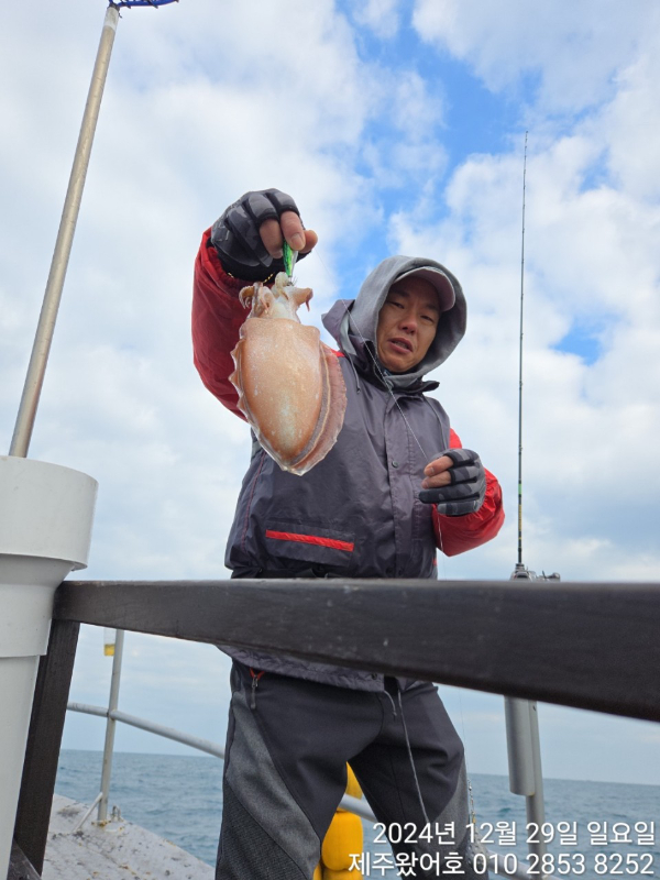 제주왔어호_사진_20241230_12.jpg