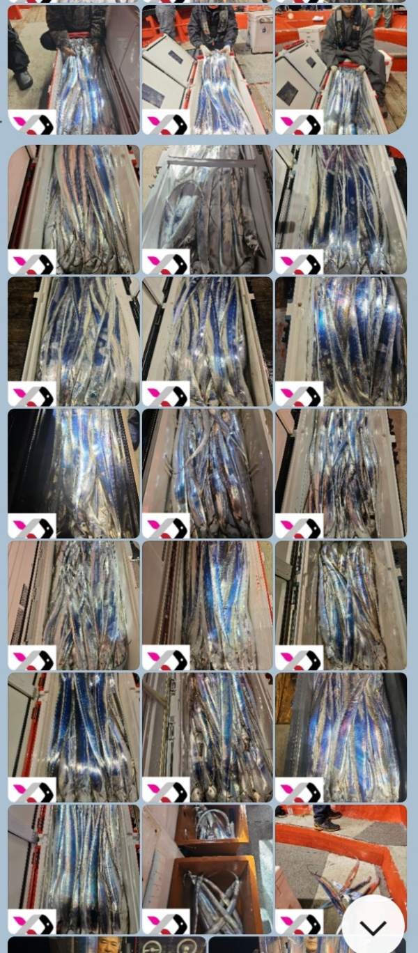 1000014534.jpg