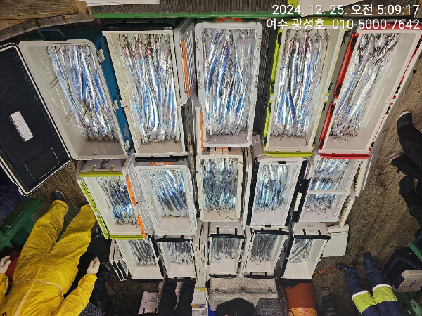 87bee611a87eb91e0f0936e7caec4f5f.jpeg