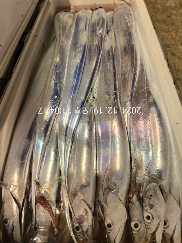 55EE99AB-2412-4D44-8335-6D3D1B564087.jpeg