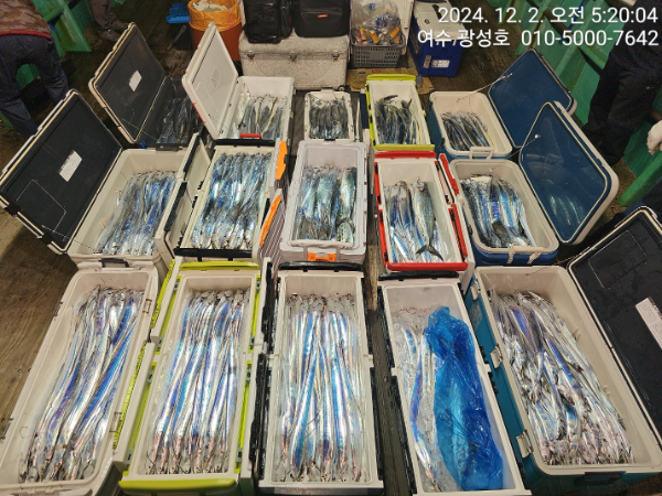 8b757a7ba4af10cc7932fcc11ac0474d.jpg