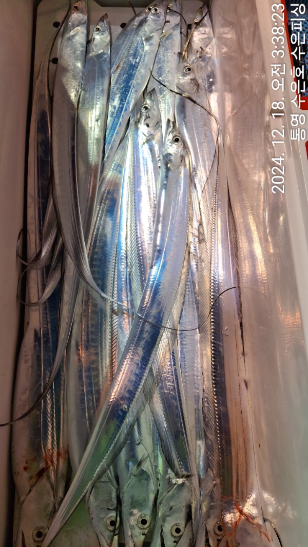 1734475086414-1.jpg