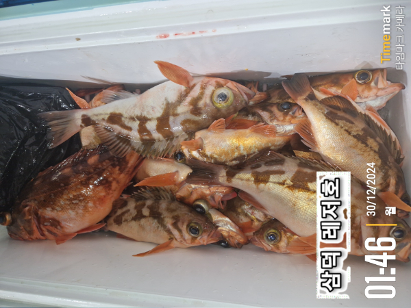 2024-12-30 01.46.11_대한민국.jpg