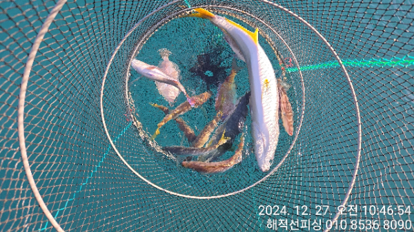 1000041030.jpg