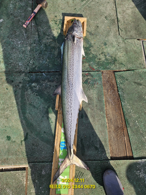 KakaoTalk_20241211_152124068_07.jpg