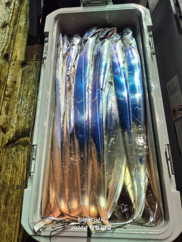 진해바다낚시(신아라호)_사진_20241202_14.jpg