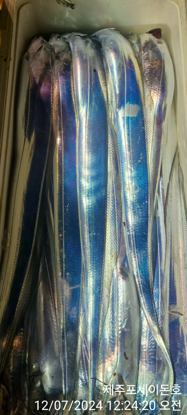 1000033202.jpg