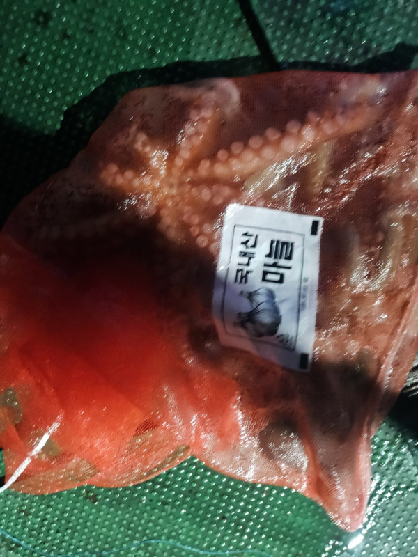 KakaoTalk_20241206_000211112_04.jpg