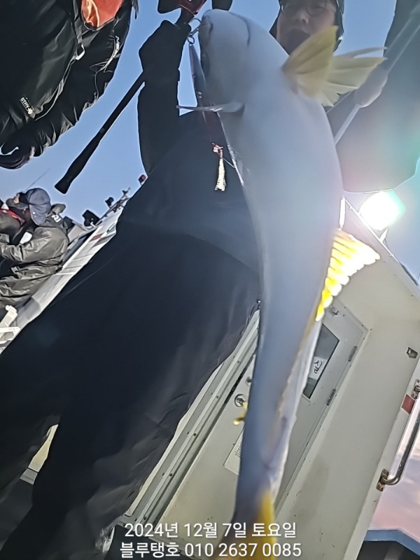 1000026039.jpg
