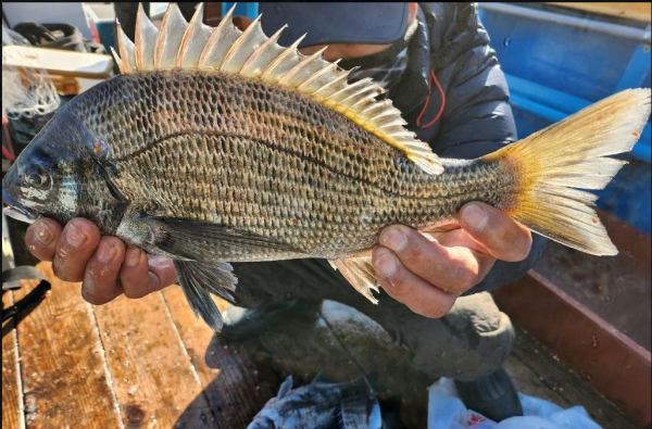 스크린샷 2024-12-24 111516.png