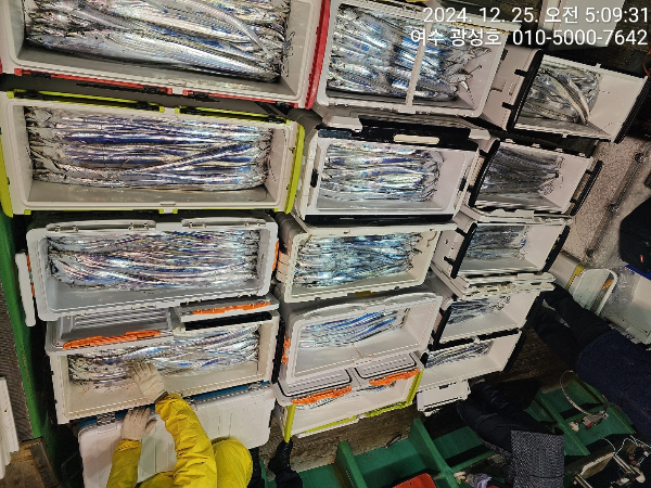 aef2020a35cc9726b24a5d558ca79659.jpeg