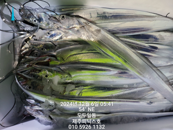 KakaoTalk_20241206_085851842_13.jpg