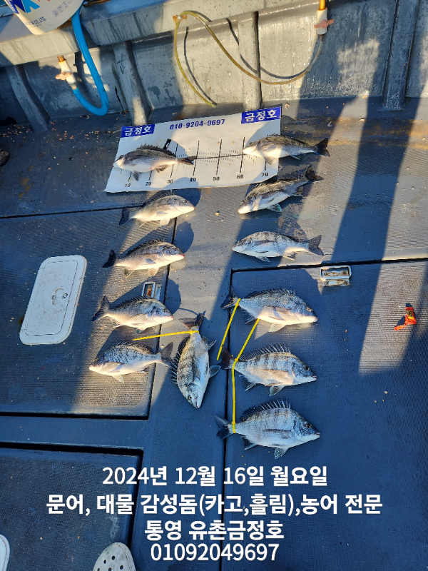 1000027948.jpg