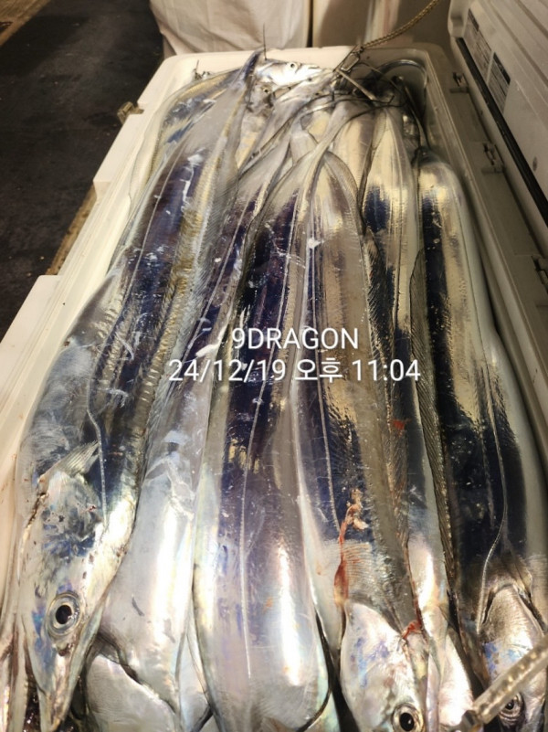 DD2DCD62-AC18-495D-B166-FD05904B0CA6.jpeg