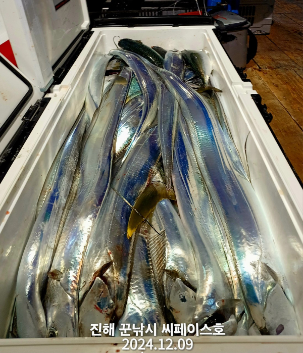 1000018362.jpg