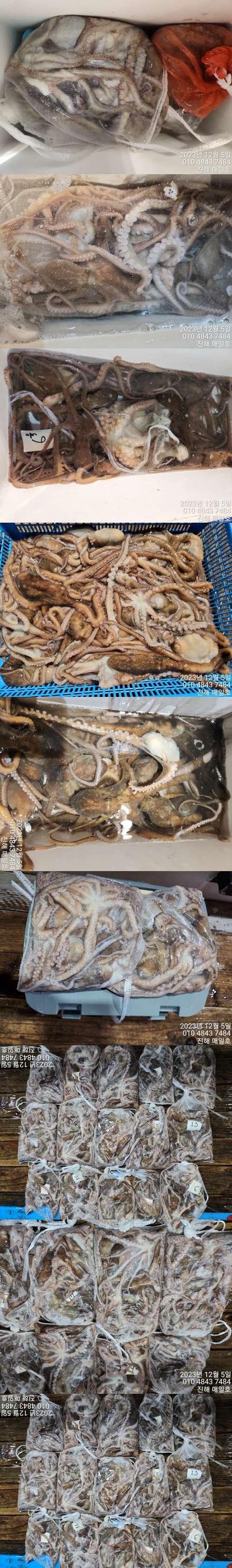 낙지2.jpg
