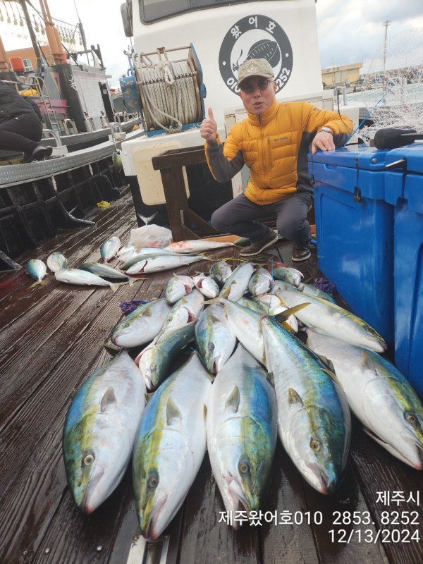 제주왔어호_사진_20241214_2.jpg
