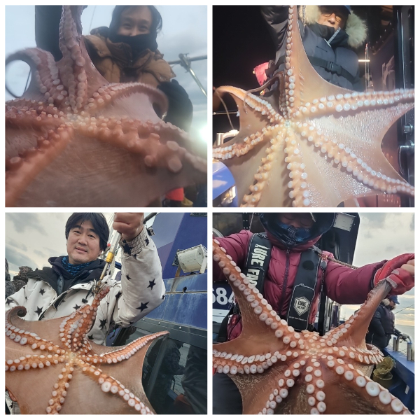 PhotoCollage_1735121432655.jpg