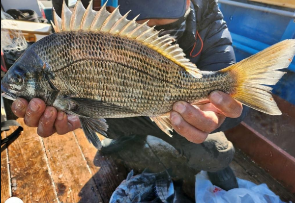 스크린샷 2024-12-24 114046.png