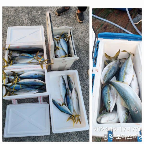 ca9719371a5d2ab32a30ebf23068969f.jpg