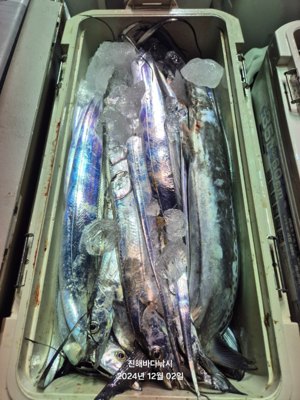 진해바다낚시(신아라호)_사진_20241202_16.jpg