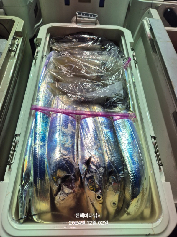 진해바다낚시(신아라호)_사진_20241202_12.jpg