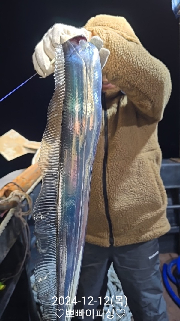 1733996717146-5.jpg