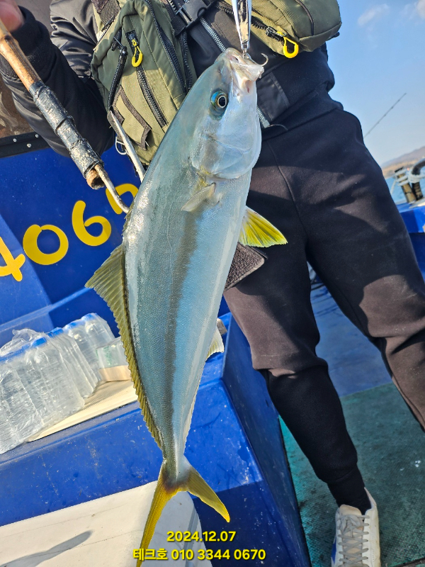 KakaoTalk_20241209_114646015_09.jpg