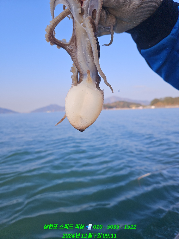 KakaoTalk_20241207_182113395_10.jpg