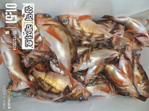 2024-12-30 01.51.56_대한민국.jpg