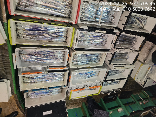 db0e1ab9bac61950055c52445af02ea7.jpeg