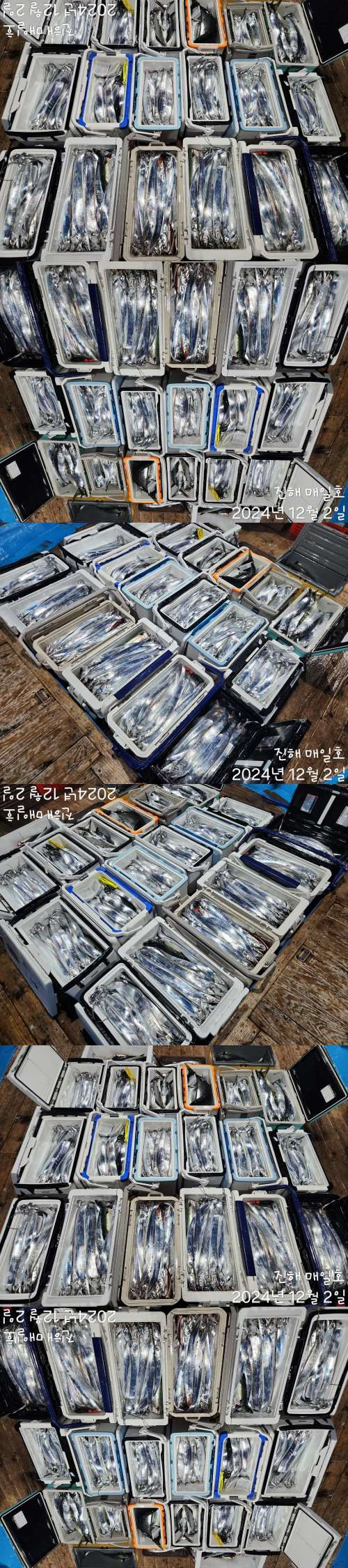 갈치4.jpg