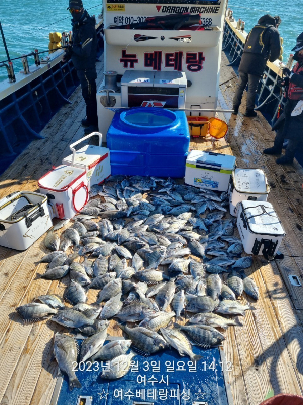 1000061310.jpg