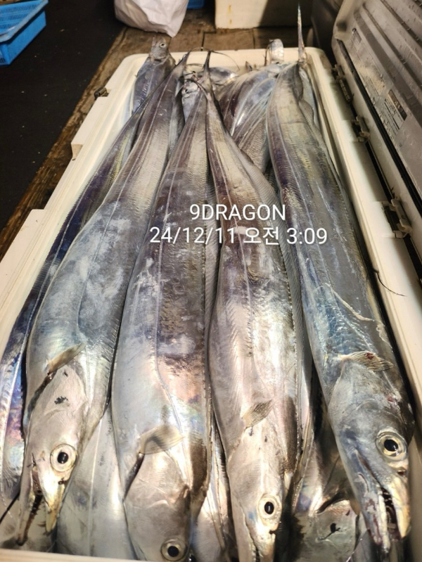 C3F578DE-FD18-4277-A23A-86051B813D13.jpeg