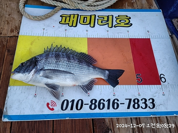 e3464e7431b817124beef7cad8b0bc23.jpg