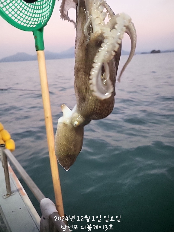 KakaoTalk_20241201_093948707_01.jpg