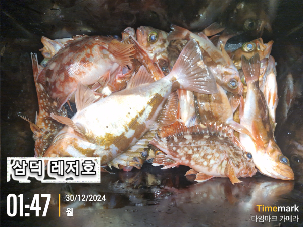 2024-12-30 01.47.50_대한민국.jpg