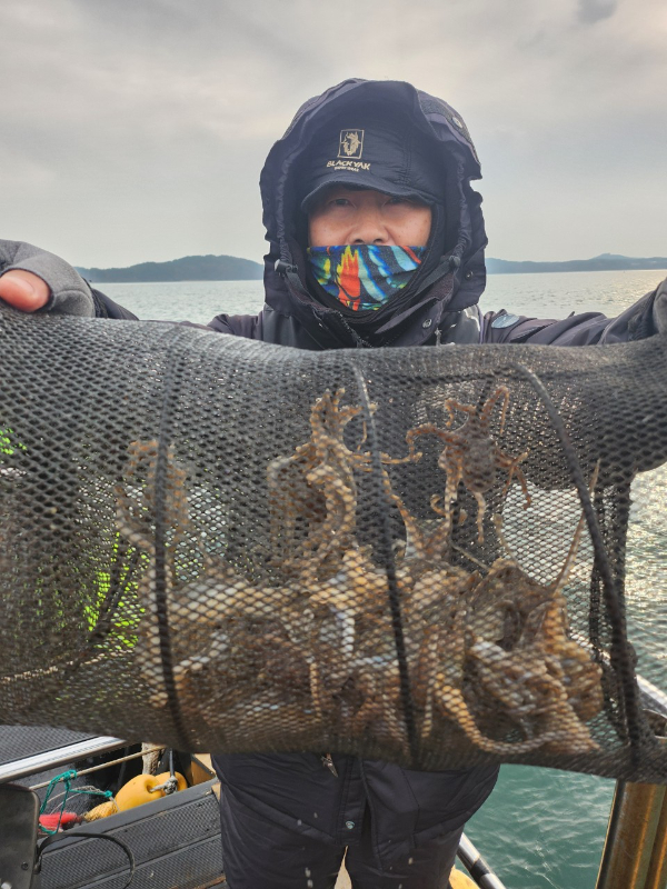 ■서산마린케이호☆광어 우럭 주꾸미 갑오징어 백조기 문어 감성돔 선상낚시_사진_20241201_2.jpg