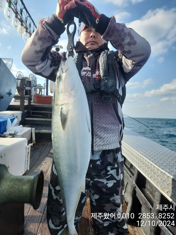제주왔어호_사진_20241210_8.jpg