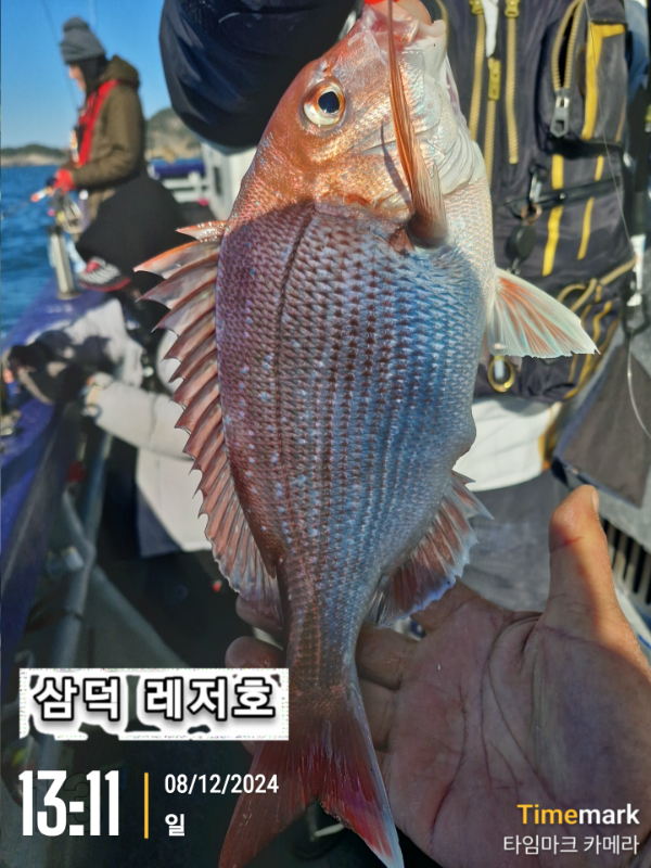 2024-12-08 13.11.53_산66-4, 욕지면.jpg