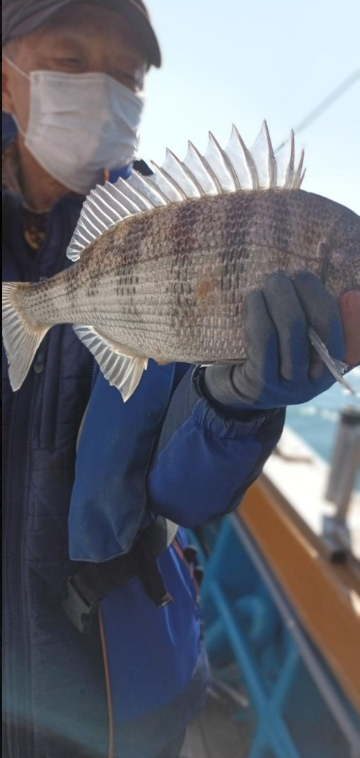 스크린샷 2024-12-24 114038.png