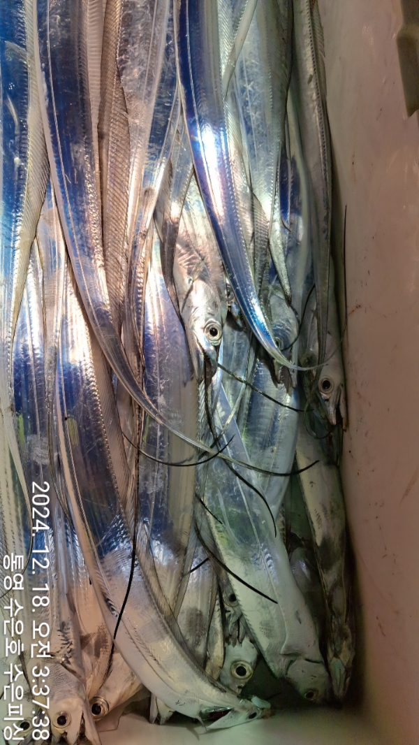 1734475086414-3.jpg