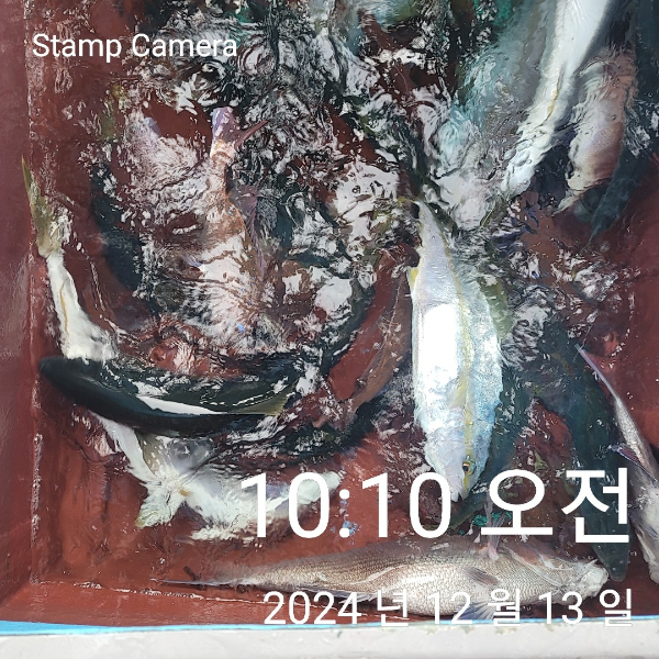 StampCamera20241213101052.jpg
