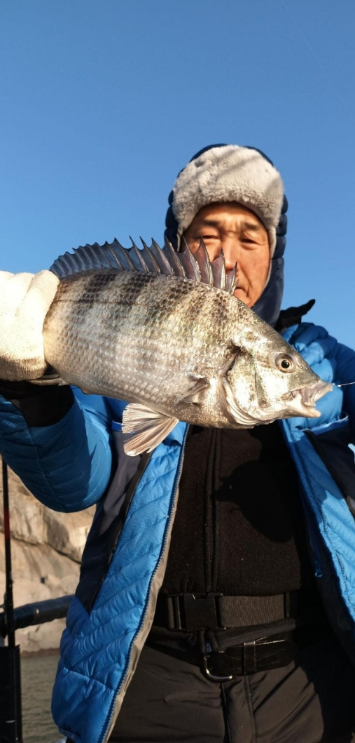 스크린샷 2024-12-24 114024.png