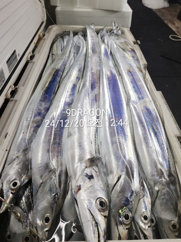 E224B82F-A31D-4E57-8B19-7699AD57C902.jpeg