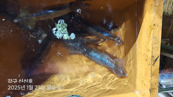신신낚시 강구점 신신호_사진_20250128_13.jpg