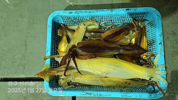 신신낚시 강구점 신신호_사진_20250128_8.jpg