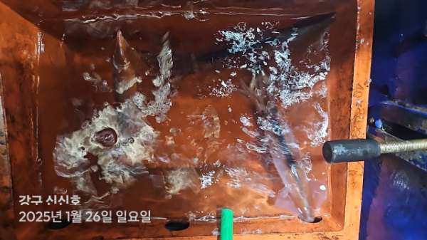 신신낚시 강구점 신신호_사진_20250127_17.jpg