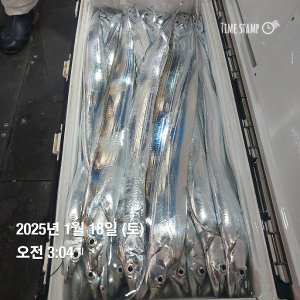 KakaoTalk_20250118_083514716_15.jpg