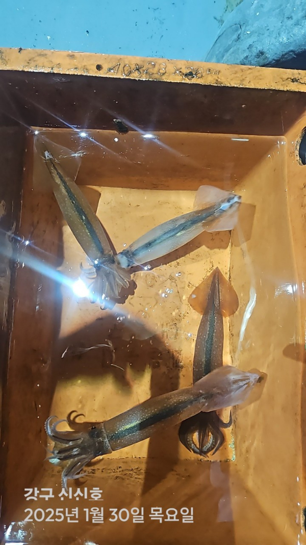 신신낚시 강구점 신신호_사진_20250131_16.jpg